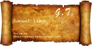 Gansel Timur névjegykártya